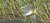 240M15349252.7.jpg