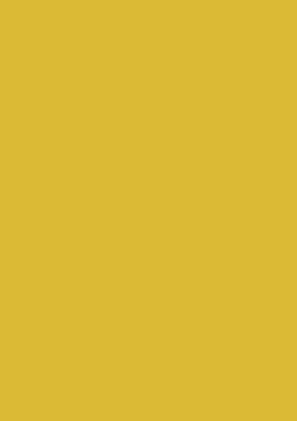 Levně APLI sada barevných papírů, A2+, 170 g, zlatě žlutý - 25 ks, Sleva 90%