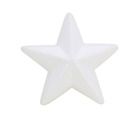 Hvězda polystyrenová 100 mm
