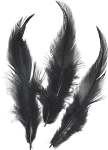 Dekorativní peříčka kohoutí 16 ks, černá