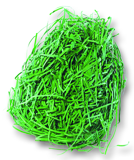 Levně Dekorativní tráva z papíru - 30 g - zelená