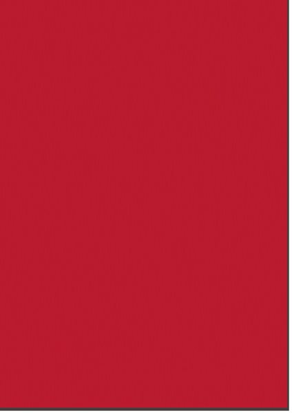 Levně Fotokarton A4, gramáž 300 g - 10 listů - barva červená cihla