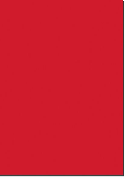 Levně Fotokarton A4, gramáž 300 g - 10 listů - barva jasně červená