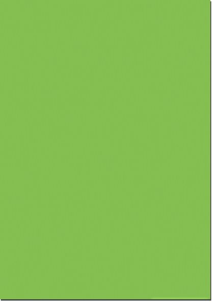 Fotokarton A4, gramáž 300 g - 10 listů - barva světle zelená
