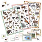 Živočišná říše – sada plakátů s kartičkami