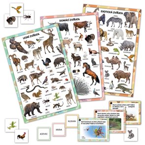 Živočišná říše – sada plakátů s kartičkami