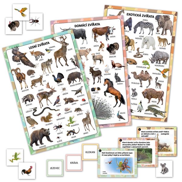 Levně Živočišná říše – sada plakátů s kartičkami