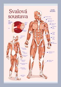 Svalov&#225; soustava 420 &#215; 594 mm - v&#253;ukov&#253; plak&#225;t