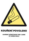 Kouření povoleno (označení restaurací) - 21x28 / samolepící folie
