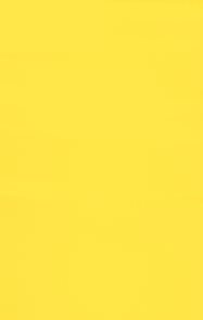 Pěnovka 22,5x15 cm - samolepící - žlutá