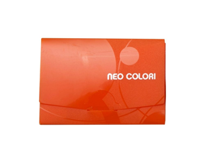 PP Krabička na vizitky Neo Colori - oranžová