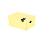 Krabice lamino 35,5 × 24 × 16 cm PASTELINI - žlutá