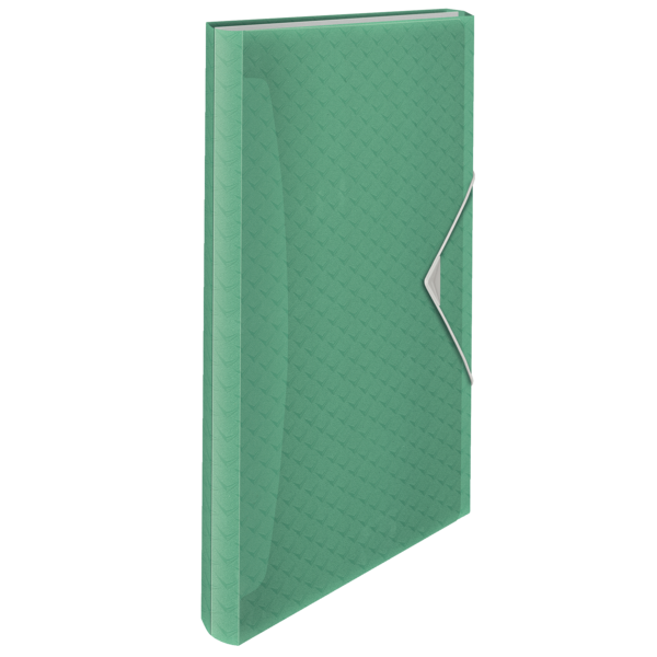 Levně Aktovka na spisy Esselte Colour'Ice A4, 6 přihrádek - ledově zelená
