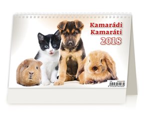Kalendář stolní 2018 - Kamarádi/Kamaráti