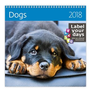 Kalendář nástěnný 2018 Label your days - Dogs