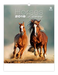 Kalendář nástěnný 2018 - Horses Dreaming