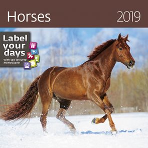 Kalendář nástěnný 2019 Label your days - Horses
