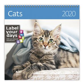 Kalendář nástěnný 2020 Label your days - Cats