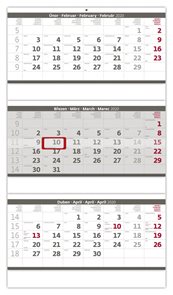 Kalendář nástěnný 2020 - Tříměsíční  skládaný šedý
