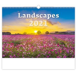 Kalendář nástěnný 2021 - Landscapes