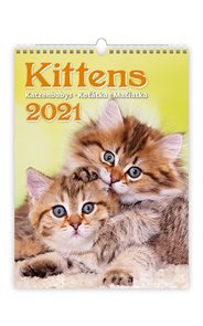 Kalendář nástěnný 2021 - Kittens/Katzenbabys/Koťátka/Mačičky