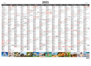 Kalendář nástěnný 2021 - Plánovací roční mapa A1 obrázková