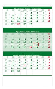 Kalendář nástěnný 2021 - Tříměsíční zelený