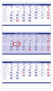 Kalendář nástěnný 2021 - Tříměsíční skládaný modrý