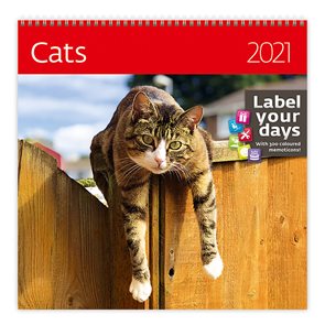 Kalendář nástěnný 2021 Label your days - Cats
