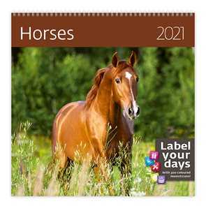 Kalendář nástěnný 2021 Label your days - Horses