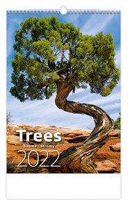 Kalendář nástěnný 2022 - Trees/Bäume/Stromy