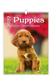 Kalendář nástěnný 2022 - Puppies/Welpen/Štěňátka/Šteniatka