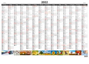 Kalendář nástěnný 2022 - Plánovací roční mapa A1 obrázková