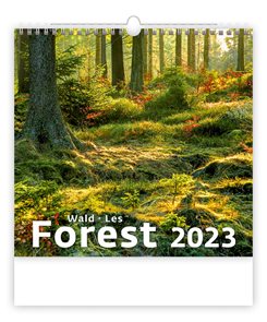 Kalendář nástěnný 2023 - Forest/Wald/Les