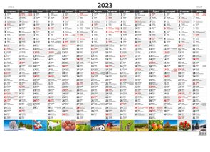 Kalendář nástěnný 2023 - Plánovací roční mapa A1 obrázková