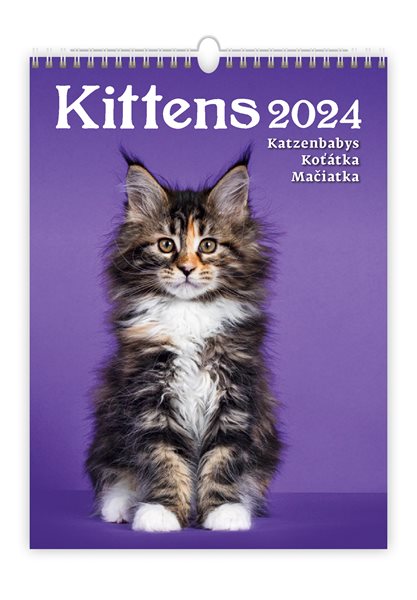Kalendář nástěnný 2024 - Kittens/Katzenbabys/Koťátka/Mačičky