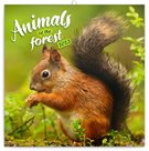 Kalendář nástěnný 2023 poznámkový, 30 × 30 cm - Zvířátka z lesa
