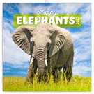 Kalendář nástěnný 2023 poznámkový, 30 × 30 cm - Šťastní sloni