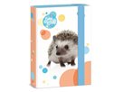 Desky na sešity A5 Ars Una - Cute Animals ježek