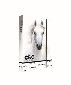 Desky na sešity s boxem A4 Jumbo - GEO WILD kůň bílý
