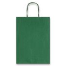 Dárková taška Allegra 22 × 27 × 10 cm, kraft - zelená