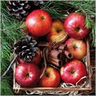 Stil Ubrousky 33 x 33 Vánoce - Dekorace s jablky a skořicí