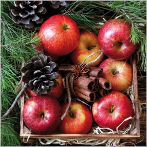 Stil Ubrousky 33 x 33 Vánoce - Dekorace s jablky a skořicí
