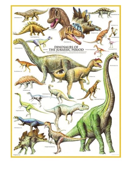 Levně Puzzle Dinosauři z jurského období 1000 dílků