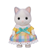 57056032019.10.PNG