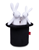 570R2000188.2.PNG