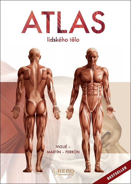 Atlas lidského těla - Jordi Vigué - 24x33 cm, Sleva 200%