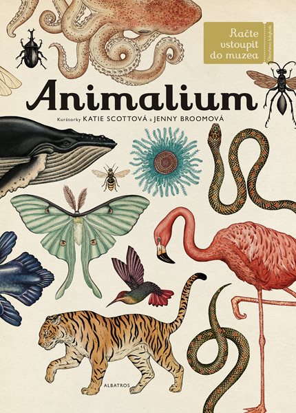 Animalium - kolektiv