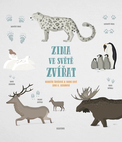 Levně Zima ve světě zvířat - Markéta Nováková, Irena Kocí - 25x25 cm