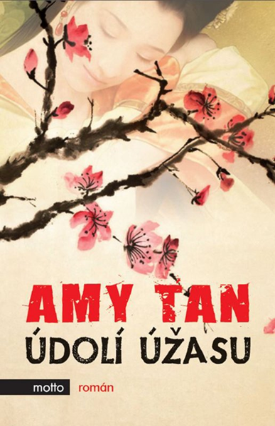Levně Údolí úžasu - Amy Tan - 13x20 cm